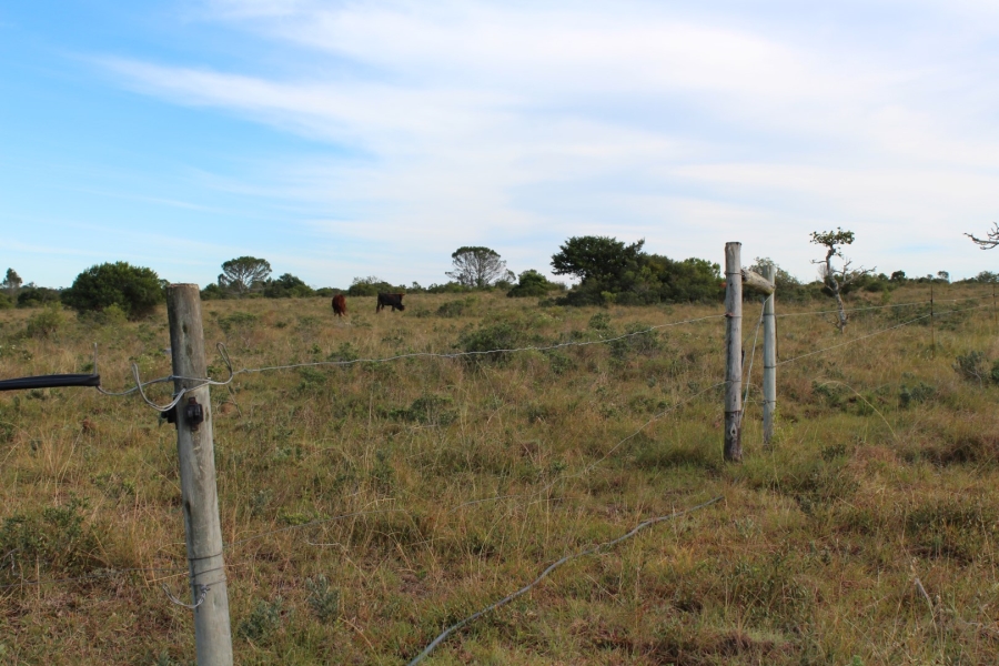 1 Bedroom Property for Sale in Bathurst Rural Eastern Cape